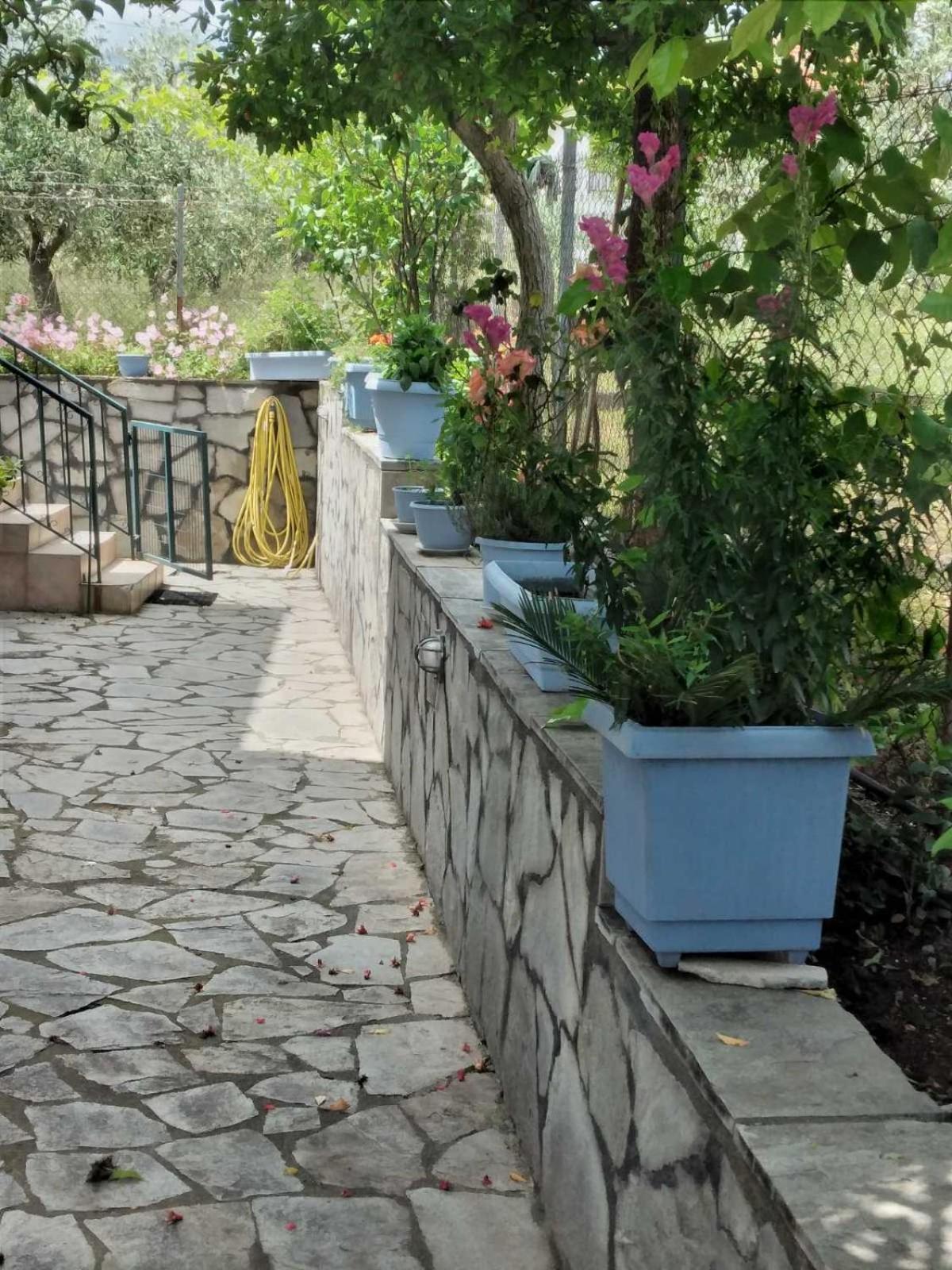 Villa Jenny Leptokarya  Exterior foto